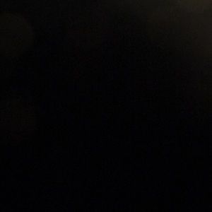 Meet your Posher, Sylvia